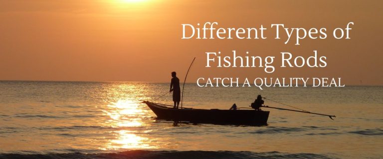 Different types of fishing rods