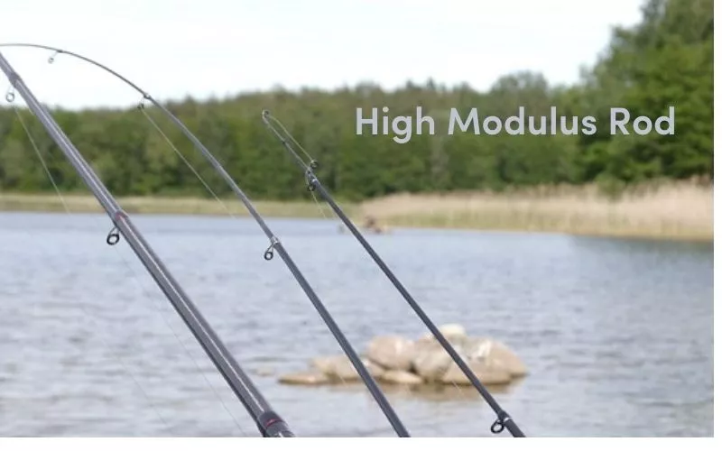 High Modulus Rods