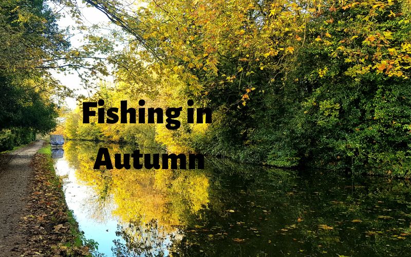 best time to fish for trout in autumn