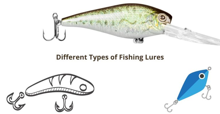 Different Types of fishing lures