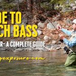 How to catch Bass in summer