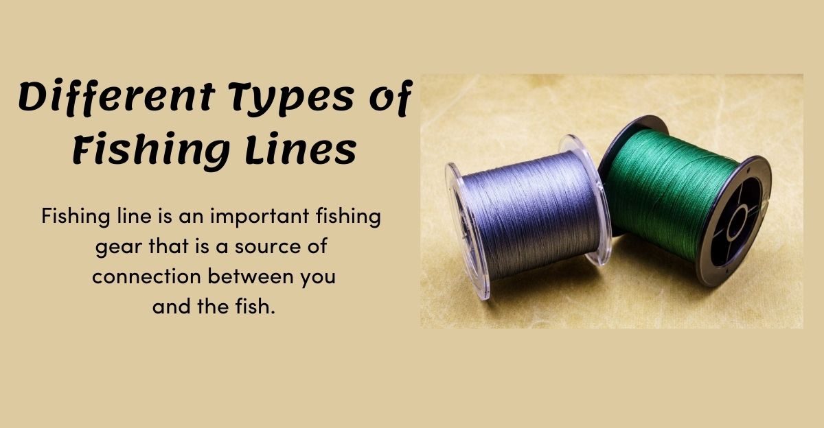 Types of fishing lines