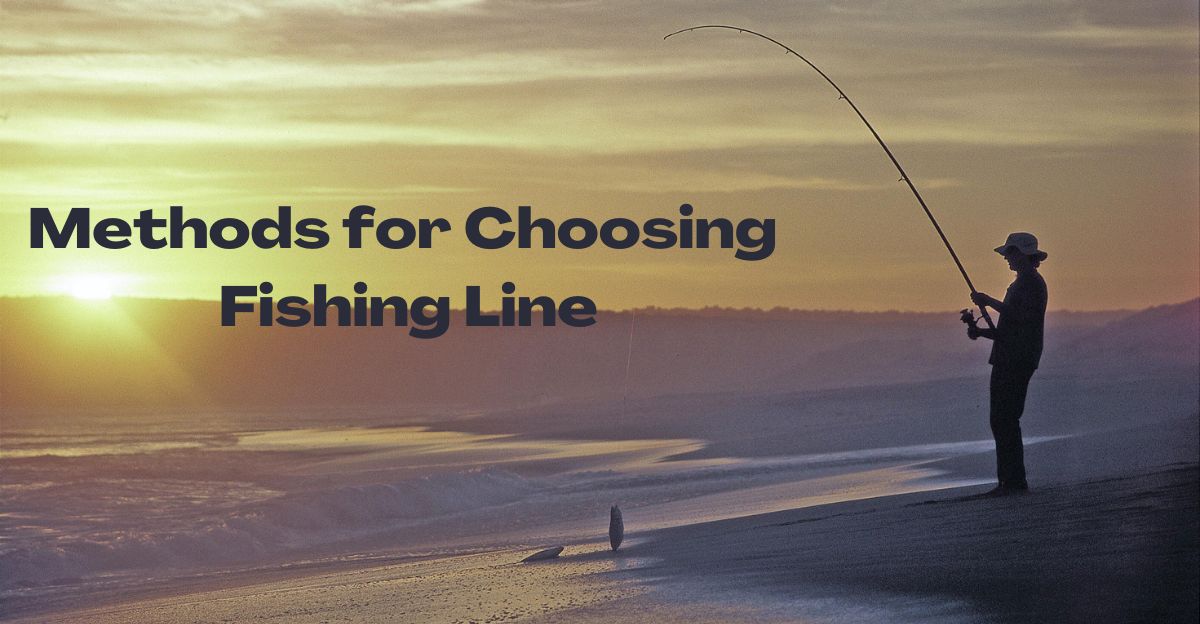 Choosing a fishing line
