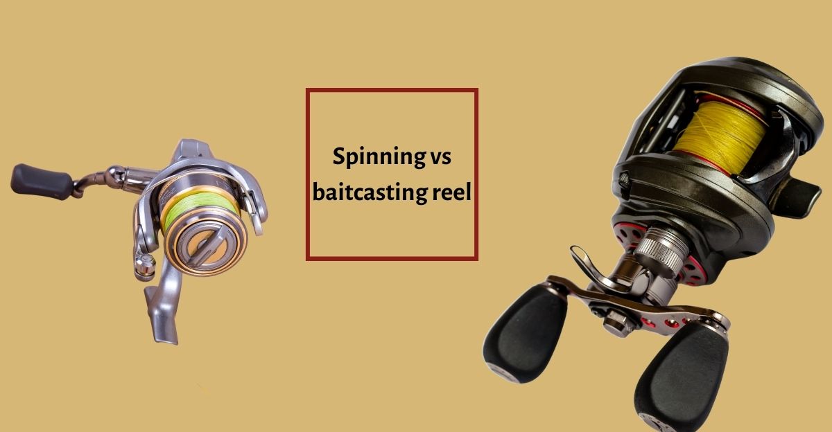 Baitcasting vs Spinning Reel