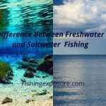 Difference between Saltwater and freshwater fishing