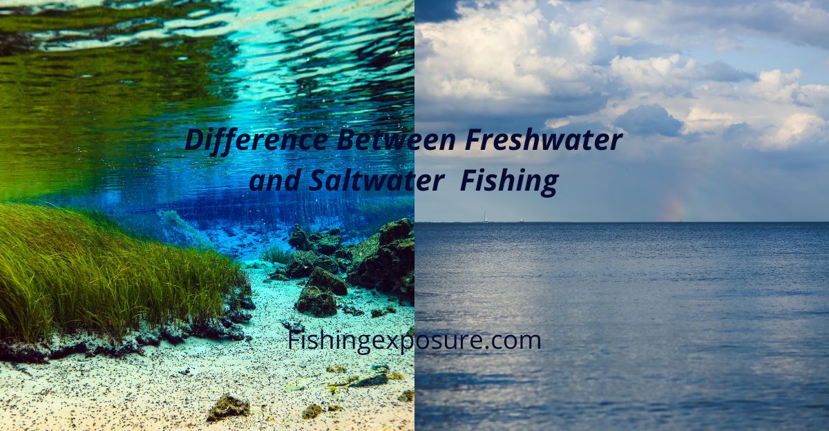 Difference between Saltwater and freshwater fishing