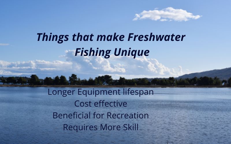 Freshwater Fishing 