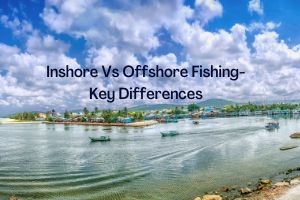 Difference between Offshore and Inshore