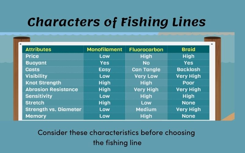 different-types-of-fishing-lines-fishing-tips-to-choose-in-2024