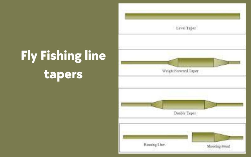 Fly Fishing line tapers