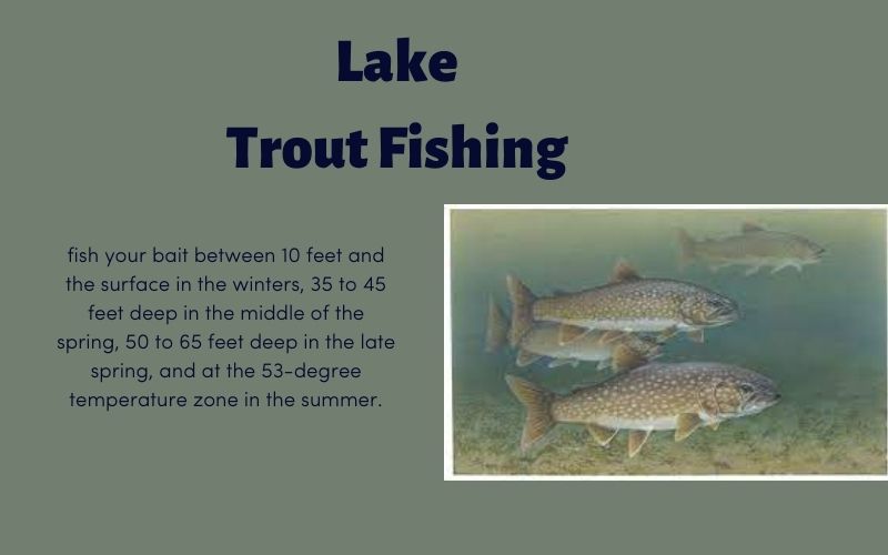 best time to fish for trout in a lake