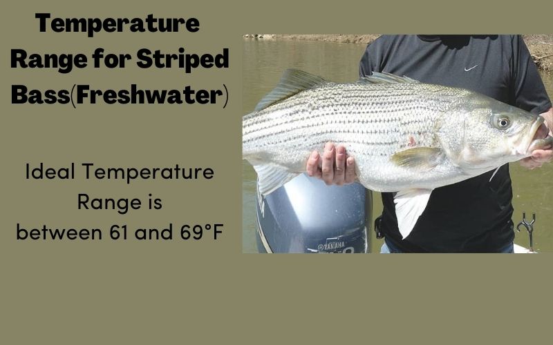 range for striped bass fresh water