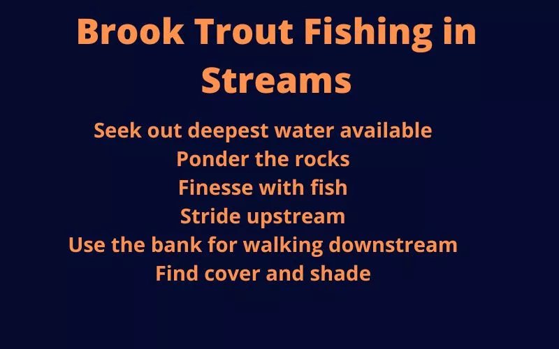 Brook trout fishing in streams