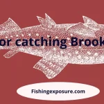 how to catch brook trout in small streams