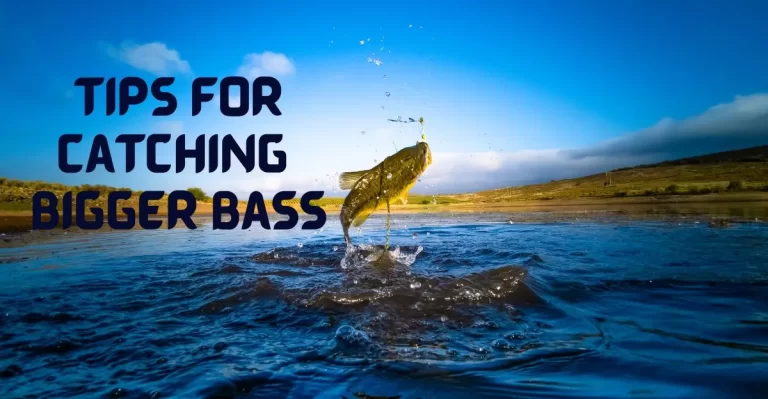 how to catch bigger bass