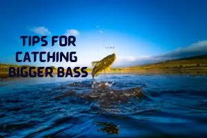 Tips for catching Bigger Bass