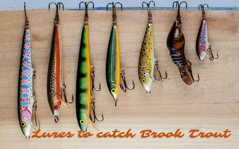 Lures for catching Brook trout