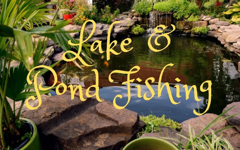 Lake and Pond Fishing