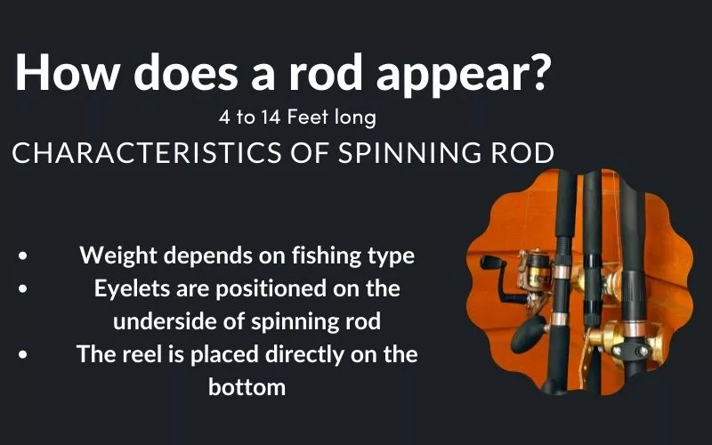 spinning vs casting rod for beginners