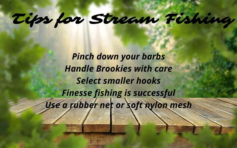 Tips for Stream Fishing