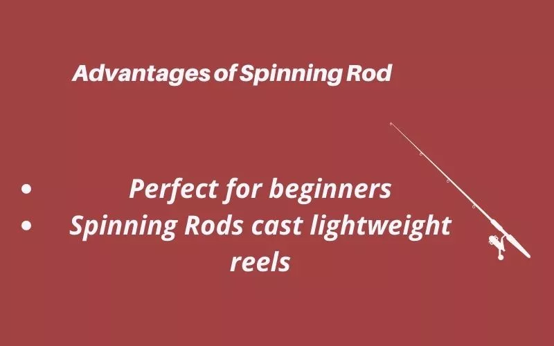 Advantages of Spinning Rod