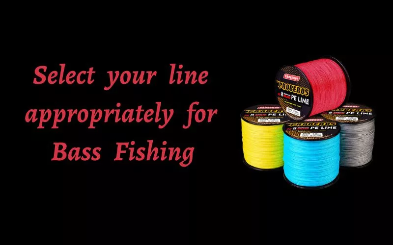 Bass fishing line
