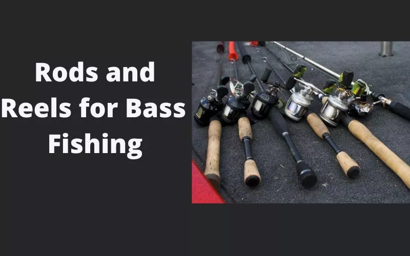 tips to catch bigger bass