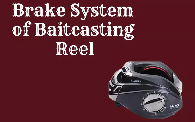 Brake system of Baitcasting Reel