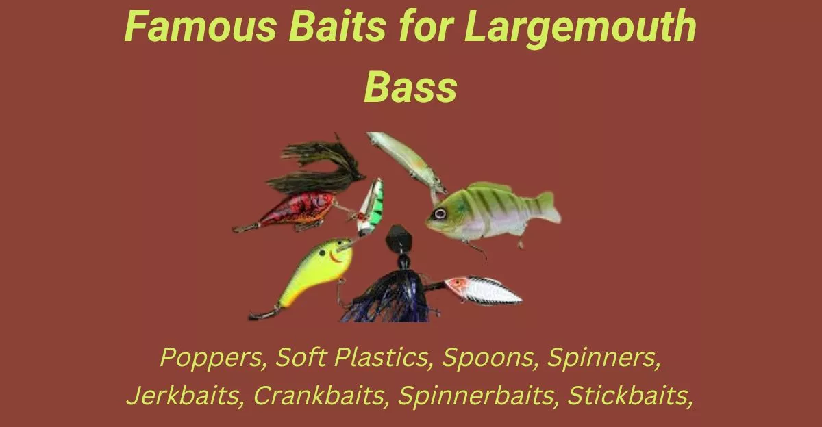 Famous Baits for Largemouth Bass