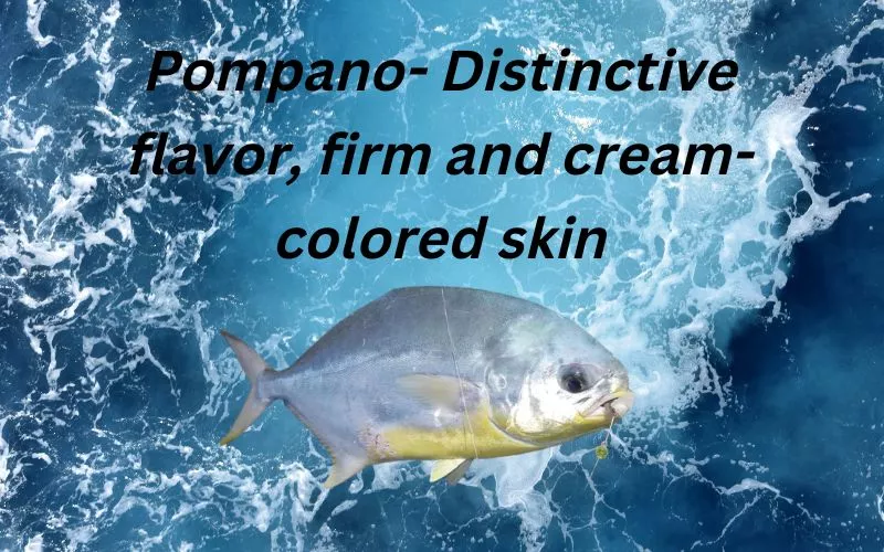 Pompano- Famous Inshore Fishing Species