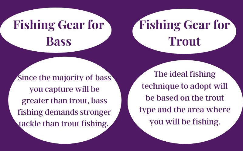 Fishing Gear for Bass & Trout