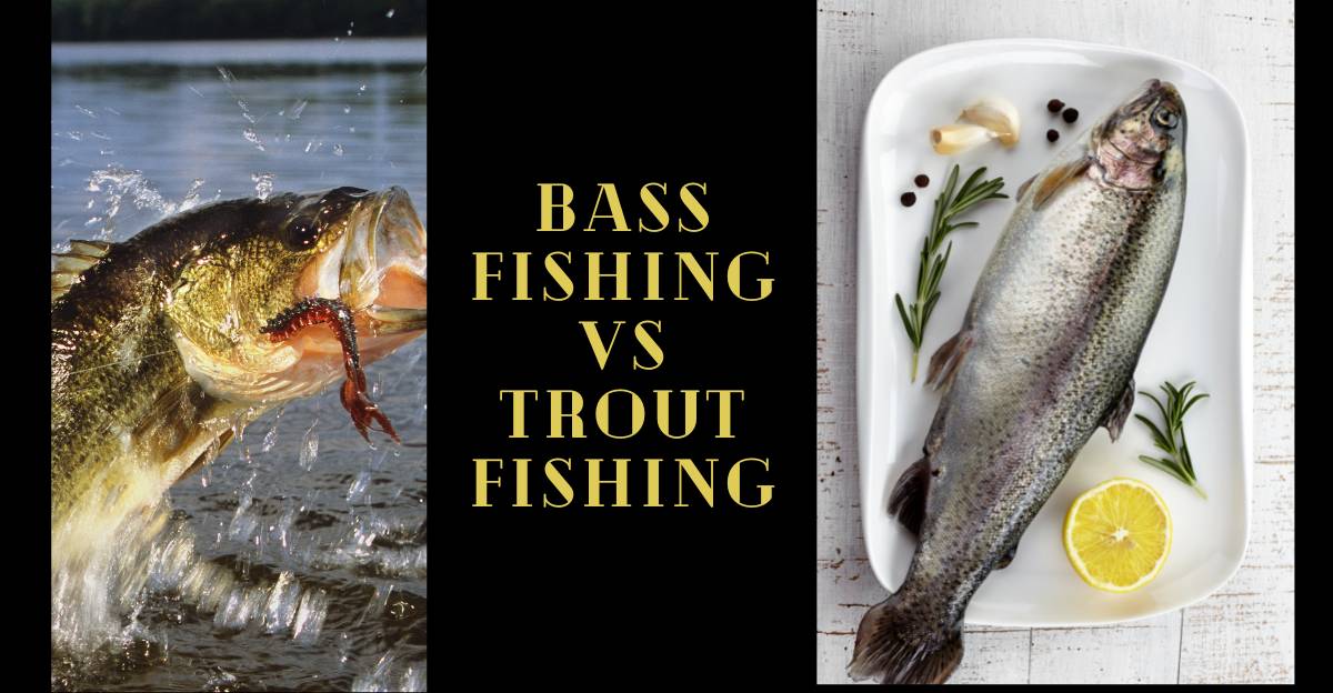 Bass Fishing Vs Trout Fishing