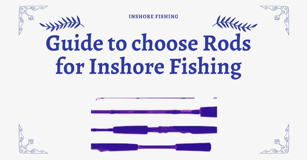 Inshore Fishing rods