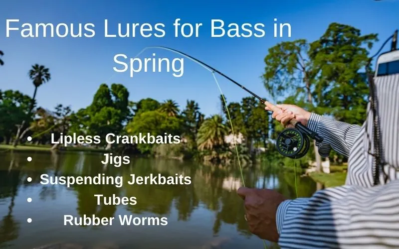 Famous Lures in Spring