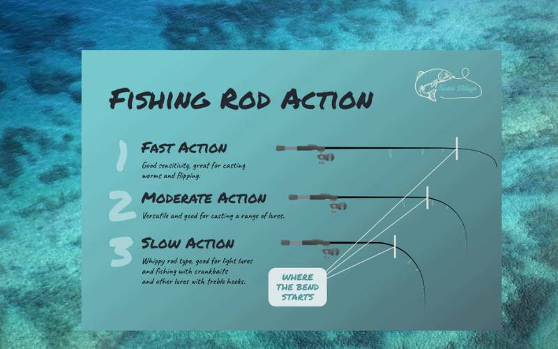 Fast rod Action Chart