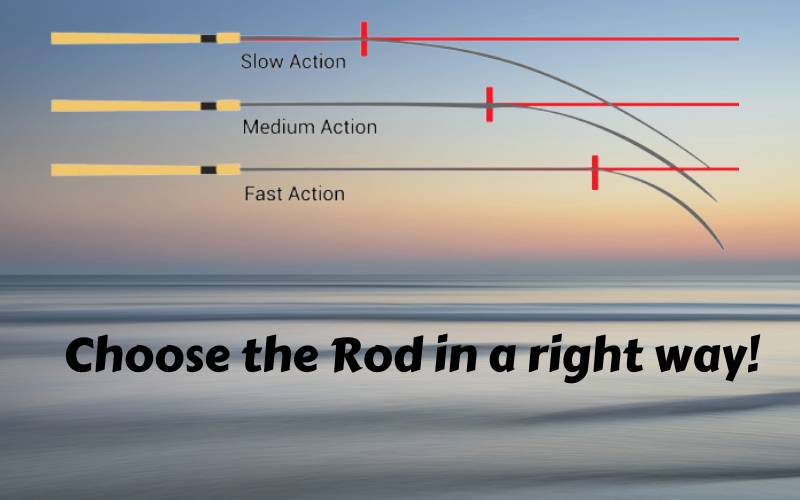 Choose the Fast Action Rod