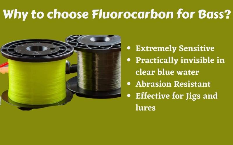 Fluorocarbon for Bass Fishing