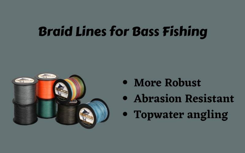 Braid lines for Bass Fishing