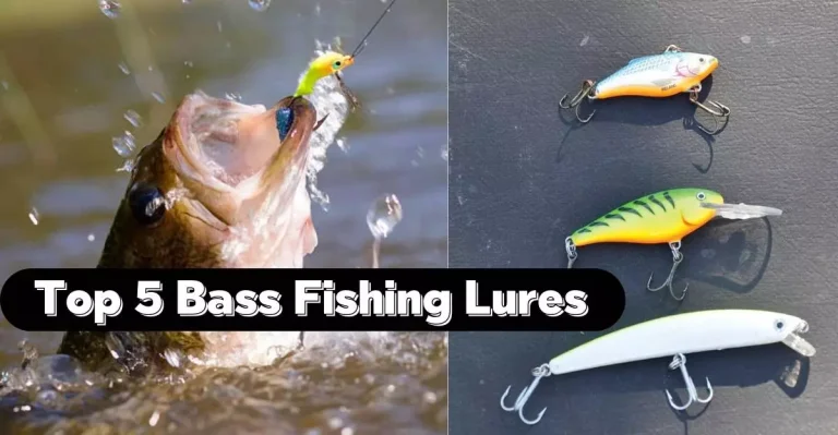 Bass Fishing Lures