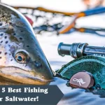 The 5 Best Fishing Spinning Reels for Saltwater