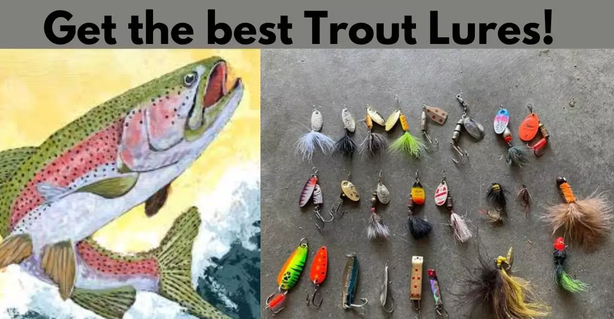 Best Lures for trout fishing