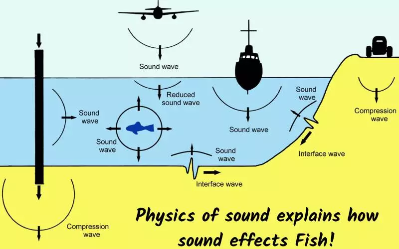 Physics of sound