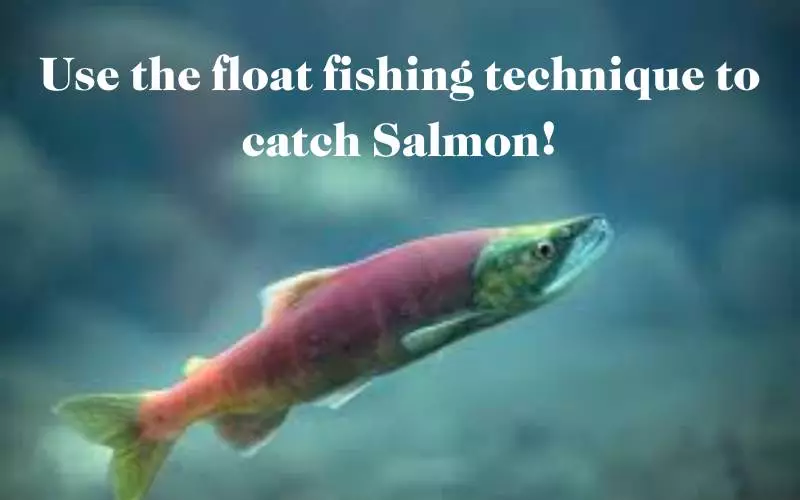 Float Fishing to catch salmon
