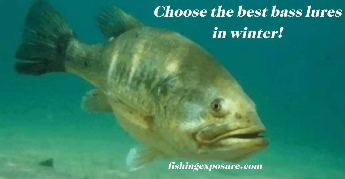 Best Bass Fishing lures in winter
