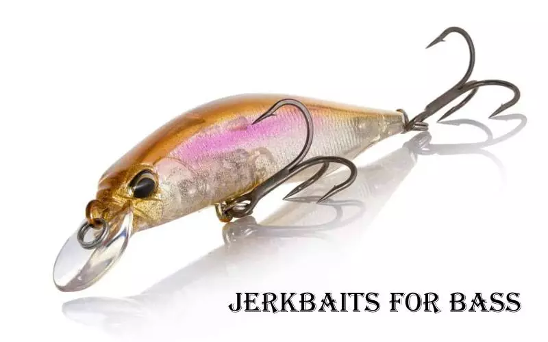Jerkbaits for Bass
