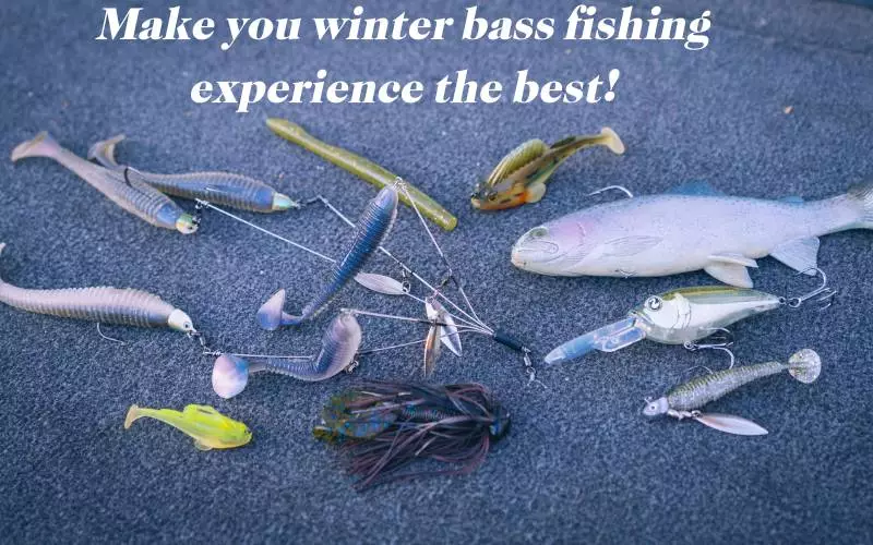 Best winter bass lures