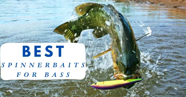 Best Spinnerbaits for Bass