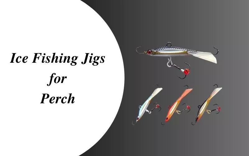 Jigs for perch