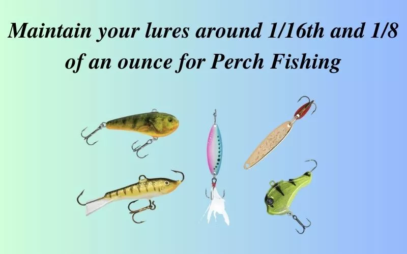Best lures for Perch Fishing