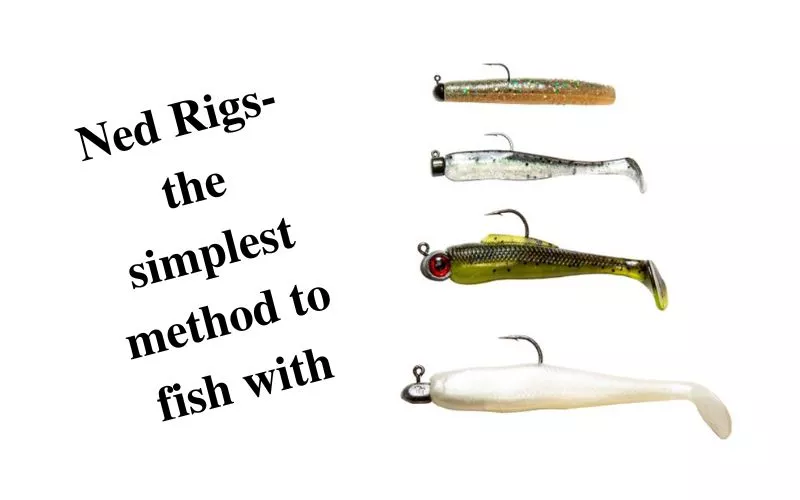 Ned Rigs for Trout Fishing